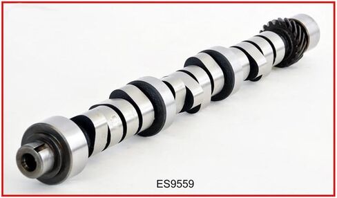Master Engine Rebuild Kit Fits: 1994-1997 Dodge Ram Dakota 239 3.9L 3.9 OHV V6 Magnum in Kuwait