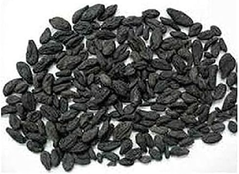 Kali Harad (Black Harad) - الفاكهة المجففة Choti Harad الطبيعية والطبيعية - 100g | الايورفيدا العشبية لاجهو هاراد in Saudi Arabia