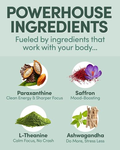 MTE Antioxidant Supplement Drink Powder | Energy and Focus Supplements | Paraxanthine for Boosted Productivity | No Sucralose & No Caffeine | Energy Supplements | Nootropic Supplement in Saudi Arabia
