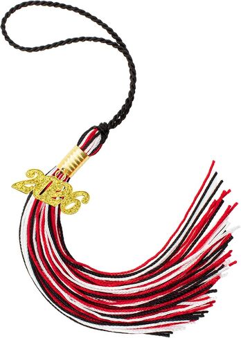 2026 Graduation Tassel, Pink Tassels for Graduation Cap, Class of 2026 Tassel with Golden Charm for Graduations Cap Hat Decorations Accessories Academic Memorial Grad Ceremonies Party Favors Supplies in Saudi Arabia