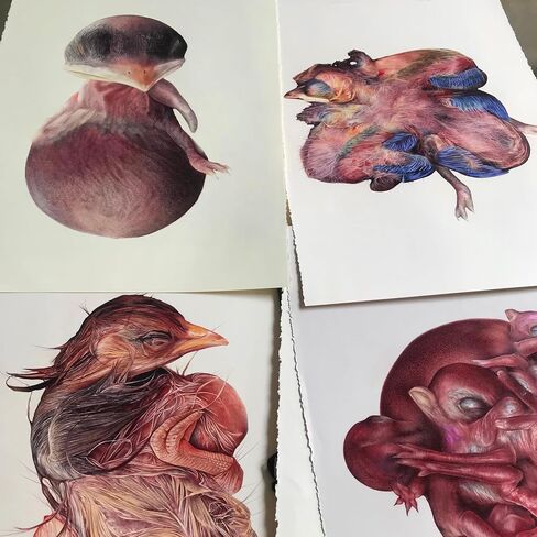 “Blooming" – Original Fine Art Drawing, Nature-Inspired Handmade Artwork by Lisyanet Rodriguez | Colored Pencil on Paper (30 x 23 in, Unframed) in Saudi Arabia