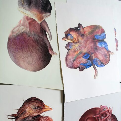 “Blooming" – Original Fine Art Drawing, Nature-Inspired Handmade Artwork by Lisyanet Rodriguez | Colored Pencil on Paper (30 x 23 in, Unframed) in Saudi Arabia