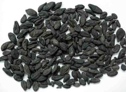 Kali Harad (Black Harad) - Choti Harad نقي وطبيعية | فاكهة الايورفيدا لاجهو هاراد المجففة للعافية العشبية (2 أوقية) in Saudi Arabia