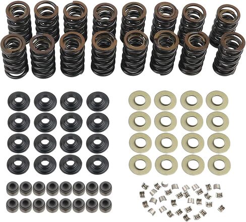 660 "Dual Valve Springs Kit متوافق مع GM LS1 LS2 LS3 LS4 LS6 L76 L92 L99 LQ4 LQ9 L33 LSA استبدال 12499224 12625033 125899774 12621428 (الصلب) in Kuwait