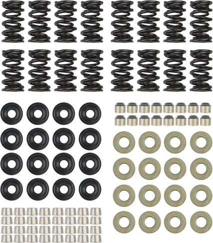 660 "Dual Valve Springs Kit متوافق مع GM LS1 LS2 LS3 LS4 LS6 L76 L92 L99 LQ4 LQ9 L33 LSA استبدال 12499224 12625033 125899774 12621428 (الصلب) in Kuwait
