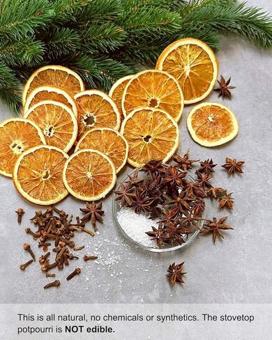 Farmhouse Potpourri Simmering, Apple Cinnamon Potpourri Simmer Pot with Cedar Stems, Pine Needles, Salt, Christmas Potpourri Bowl Filler for Housewarming, Host/Hostess, Country Lovers in Saudi Arabia