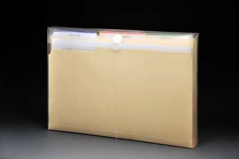 مظاريف Lion Vel-Close-R من البوليستر الشفاف مع وصلة مجمعة، قانوني، تحميل علوي، 6 EA/Pack، 1 Pack (22500-CR) in Kuwait