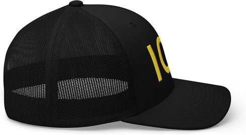 NX Ice Trucker Hat مقرضة بيل منحني منتصف التاج القابل للتعديل in Kuwait