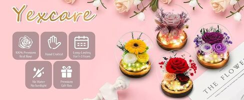 Forever Preserved Rose in Glass Dome with LED Lights - Eternal Rose Gift for Women, Prime Delivery - Valentine's Day Mother's Day Christmas Birthday for Wife Girlfriend (red) in Saudi Arabia