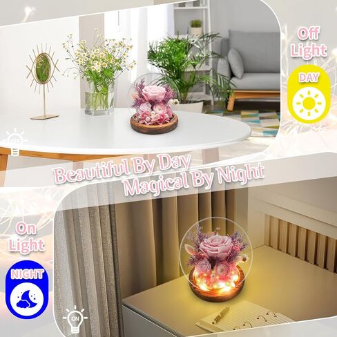 Forever Preserved Rose in Glass Dome with LED Lights - Eternal Rose Gift for Women, Prime Delivery - Valentine's Day Mother's Day Christmas Birthday for Wife Girlfriend (red) in Saudi Arabia