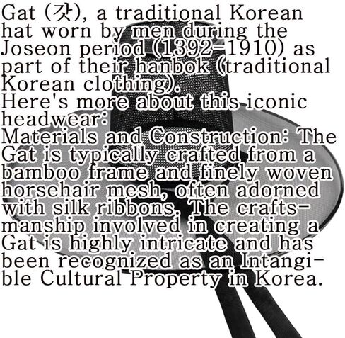 Korean Jeoseung saja boys GAT Korea Traditional Yangban HAT Special Costume for men in Saudi Arabia