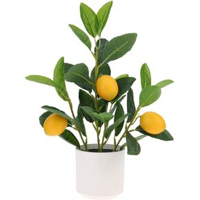 Woration Artificial Orange Plant Potted 13.8inches Small Faux Fruit Orange Tree Bonsai with Black Pot Table Centerpiece Farmhouse Style Home Office Desk Shelf Decoration Indoor in Kuwait