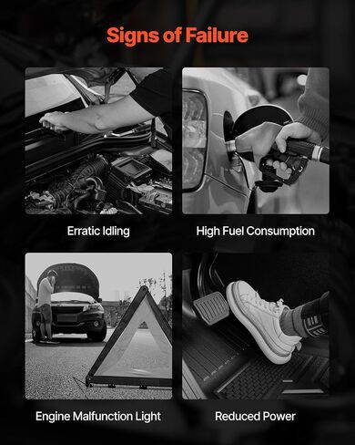 مشعب المدخول في Vevor ، مع حشية ، مجموعة متشددة للمحرك متوافق مع 2000-2004 FORD F150/F250/F350 ، استبدل 615-188 ، AC2Z-9424-A ، 2L1Z-9424-AA ، 4C2Z-9424-CA ، 5C2Z-9424-AA ، 9C24-AA in Kuwait