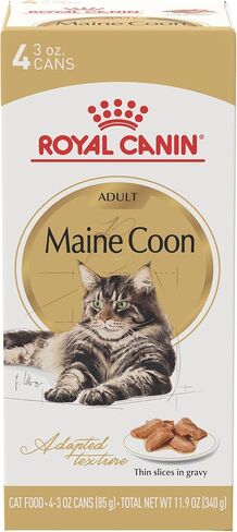 Royal Canin Maine Coon Breed Adult Dry Cat Food, 14 lb bag in Saudi Arabia