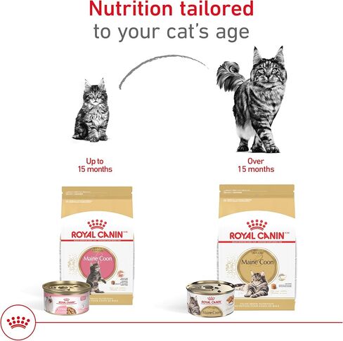 Royal Canin Maine Coon Breed Adult Dry Cat Food, 14 lb bag in Saudi Arabia