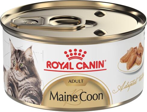 Royal Canin Maine Coon Breed Adult Dry Cat Food, 14 lb bag in Saudi Arabia