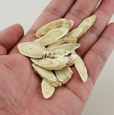 Premium Astragalus Root Slices Unsulphure, Pure and Natural 旭龙行无漂白特级北芪黄芪片 8 oz 227g (8OZ) in Saudi Arabia