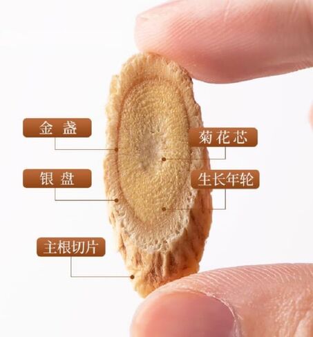 Premium Astragalus Root Slices Unsulphure, Pure and Natural 旭龙行无漂白特级北芪黄芪片 8 oz 227g (8OZ) in Saudi Arabia