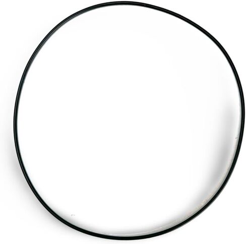 Polaris Magnum Ranger Scrambler Sportsman 325 500 Stator Plate O-Ring - 3084978 in Saudi Arabia