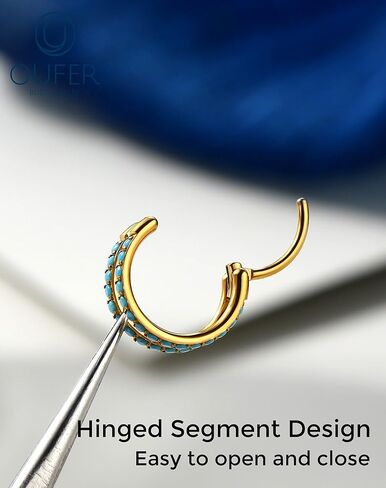 OUFER 20G Double Nose Rings Hoops, Turquoise Nose Rings for Women Men, Daith Earrings, Tragus Rook Conch Helix Lip Piercing Jewelry,316L Surgical Steel Hinged Segment Septum Hoop Jewelry 6/7/8mm in Saudi Arabia