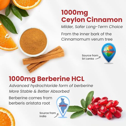 بربرين مع قرفة Ceylon Gummies 2000mg مكملات معقدة - خالية من السكر ، نباتي - بالإضافة إلى البطيخ المرير ، الغليسينات الكروم والمغنيسيوم ، مكملات القرفة العضوية HCl العضوية ، 120 ج. in Saudi Arabia