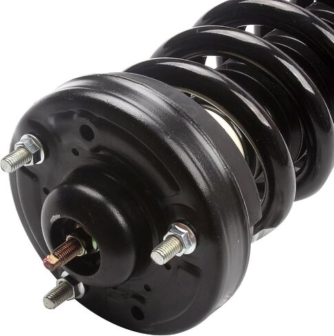 ECCPP 2PCS Quick Strut & Coil Spring Assembly for 2004-2008 for Ford F-150،2006-2008 for Lincoln Mark LT 4WD فقط 171361 in Saudi Arabia