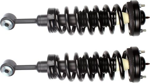 ECCPP 2PCS Quick Strut & Coil Spring Assembly for 2004-2008 for Ford F-150،2006-2008 for Lincoln Mark LT 4WD فقط 171361 in Saudi Arabia