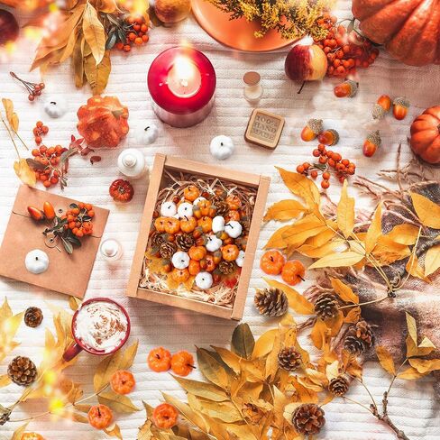 Yookeer 120pcs Mini Pumpkins Acorns Pine Cones Fall Decoration Thanksgiving Artificial Small Pumpkins Fake Props Bulk Rustic Vase Filler for Autumn Harvest DIY Craft Table Centerpiece(Lovely Color) in Saudi Arabia