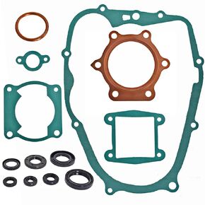 Engine Head Complete Gasket Kit Set Replacement for Yamaha Blaster 200 YFS200 1988-2006 with Oil Seals