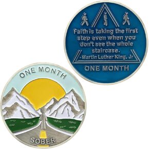 11 Month Sobriety Coin - AA Chips and Medallions,Sobriety Recovery Chip Sober Token, Sobriety Gifts for Men Women Celebrating Alcoholics Anonymous Recovery