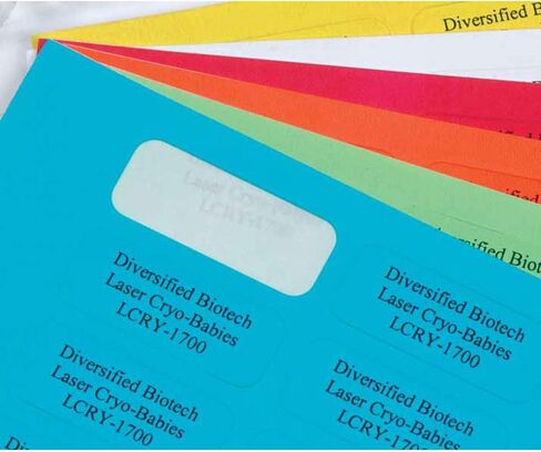 ملصق ليزر بولي أوليفين كريو للأطفال LCRY-1700-G من التكنولوجيا الحيوية المتنوعة، يستخدم مع أنبوب 1.5 مل، عرض 0.50 بوصة × طول 1.28 بوصة، أخضر (عبوة من 1700 قطعة) in Kuwait