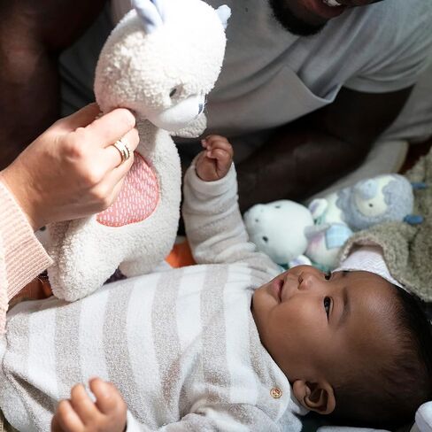 عضاضة كلاود من إنجينيويتي كالم سبرينغز من القطيفة خالية من مادة BPA، أقمشة متعددة الأنسجة، شيبي in Kuwait