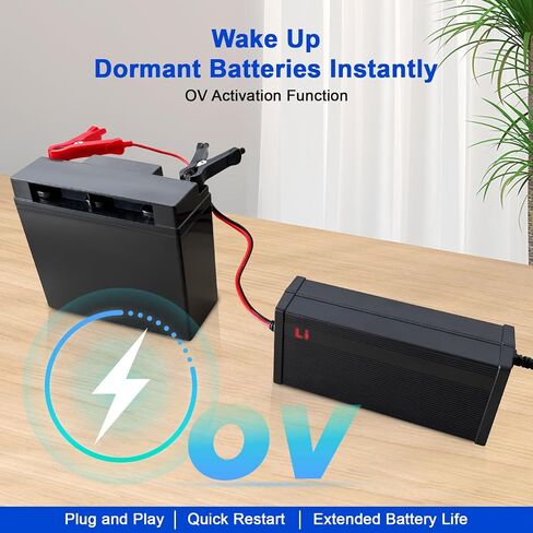 14.6V 10A LIFEPO4 شاحن البطارية المصمم لبطارية ليثيوم 12 فولت ، شاحن ذكي AC-DC ، نصيحة للبطارية ، حماية أمان مدمجة ، دعم 0V شحن in Kuwait