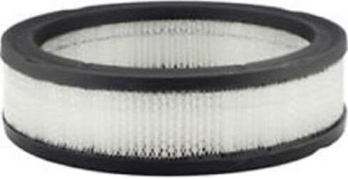 Fleetguard Air Filter AF1669 in Kuwait