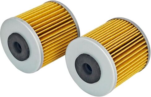 2x 71943 مرشح الإرسال متوافق مع SCAG HG71943 متوافق مع Gravely 21548300 ZT-5400 5101987X2 5101987X2YP 063-1070-00 4176892 72537 144-6598 144-6603 F210Z in Saudi Arabia
