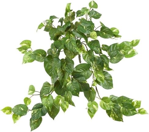 Nearly Natural 30IN Pothos Hanging Plants, Set of Three (3) Fake Bushes for Indoor Home Décor, Faux Vines for Wall or Hanging in Saudi Arabia