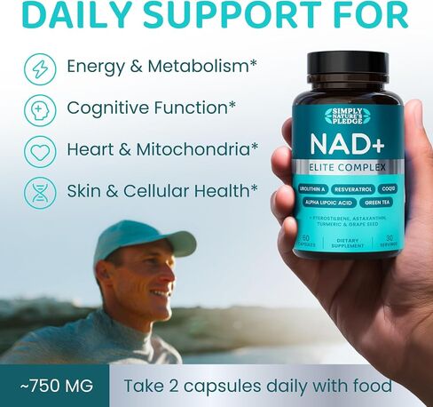 NAD+ Elite Complex-Direct NAD+ 300 mg مع urolithin A ، Resveratrol ، CoQ10 ومزيج مضادات الأكسدة-الطاقة الخلوية ، دعم الميتوكوندريا والشيخوخة الصحية-نباتي ، غير GMO ، 60 كبسولات (30 جربًا) in Saudi Arabia