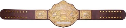 Big Gold Dual Brown Championship Title Belt Replica, World Heavyweight Wrestling Belt in Saudi Arabia