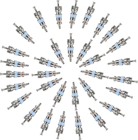 20pcs HVAC Schrader Valve Core لـ R32 R22 R410A ، مجموعة صمام Schrader ، وضغط عالي مع ختم تفلون ، وجزء بديل HVAC مثالي لأنظمة التبريد وتكييف الهواء in Saudi Arabia