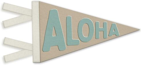Kids Playroom Decor, Play Sign Wall Pennants Banners Flags, Boho Colorful Wall Hanging Decor for Toddler Kids Boys Nursery Bedroom Room Playroom in Kuwait