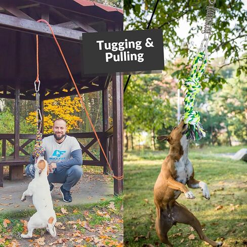TUAHOO Spring Pole Bungee Dog Tug Toy - Dog Rope Pull & Tether Tug of War Toy for Small to Large Dogs to Exercise and Play Retractable Tugger Dog Rope Toys with 2 Chew Toys in Kuwait