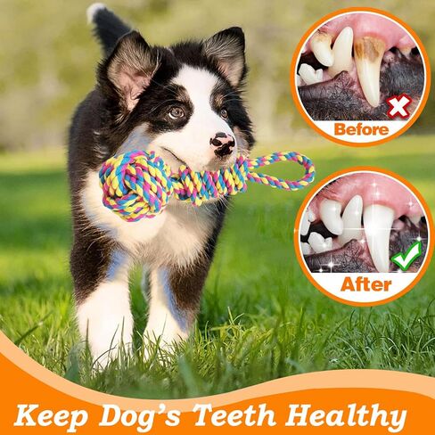 TUAHOO Spring Pole Bungee Dog Tug Toy - Dog Rope Pull & Tether Tug of War Toy for Small to Large Dogs to Exercise and Play Retractable Tugger Dog Rope Toys with 2 Chew Toys in Kuwait
