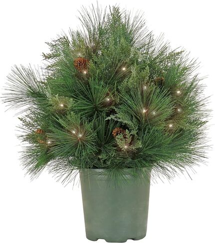 HGTV Home Collection Pre Lit Artificial Christmas Shrub Planter Filler, Mixed Branch Tips, Decorated with Pinecones, 26 Inches in Saudi Arabia