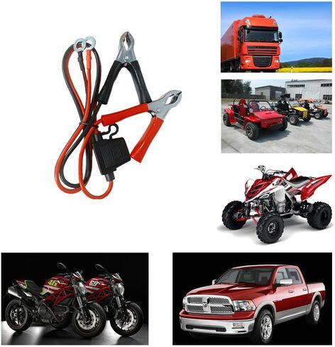 حزام الأمان الدائري مع مشبك التمساح (2 قدم) in Kuwait