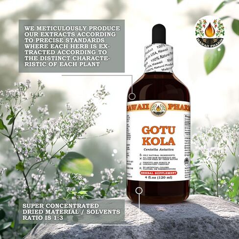 Gotu Kola (Centella Asiatica) Dry Leaf Tincture, Made in Hawaii, Organic Raw Materials, All Natural, Vegan, Pure Liquid Extract - 4 fl.oz in Saudi Arabia