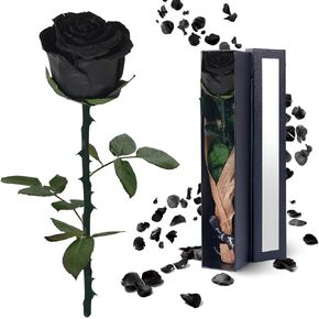 Preserved Flowers Gifts for Women Mom: Black Roses for Christmas Anniversary Mother's Day Wedding Gift for Girlfriend Wife Grandma