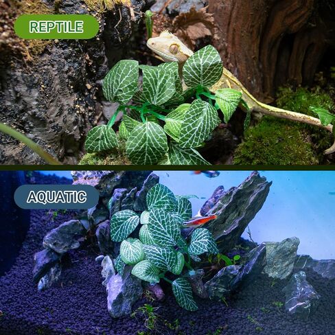 REPTI ZOO Reptile Plants, White Scindapsus Aureus Artificial Terrarium Plants, Resin Base Reptile Hide Fake Plants for Bearded Dragon Gecko Ball Python Snake Turtles Hermit Crab in Saudi Arabia
