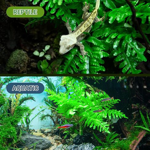 REPTI ZOO Reptile Plants, White Scindapsus Aureus Artificial Terrarium Plants, Resin Base Reptile Hide Fake Plants for Bearded Dragon Gecko Ball Python Snake Turtles Hermit Crab in Saudi Arabia
