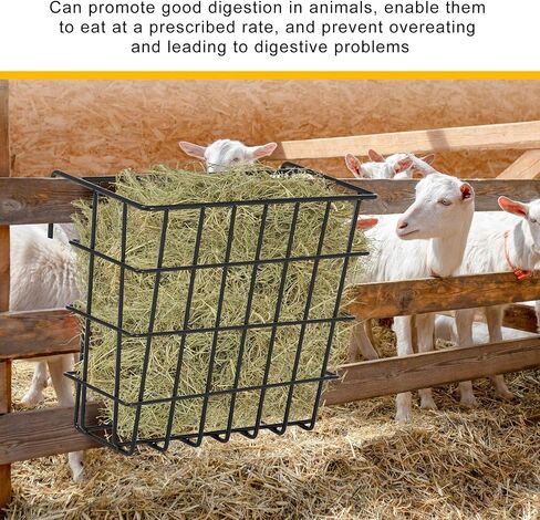 Gisafai Galvanized Hay Feeder 21.5 x 10.5 x 18 Inches Size Right for a Flake of Hay Heavy Duty Welded Wire Large Hay Rack Wall Single Sided Hay Feeder with Hook for Sheep Horses Farm Yield(Black) in Saudi Arabia