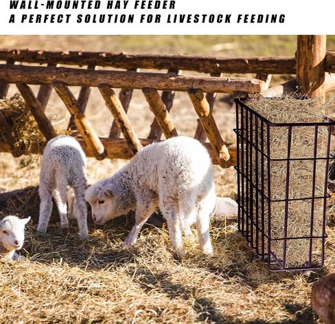 Gisafai Galvanized Hay Feeder 21.5 x 10.5 x 18 Inches Size Right for a Flake of Hay Heavy Duty Welded Wire Large Hay Rack Wall Single Sided Hay Feeder with Hook for Sheep Horses Farm Yield(Black) in Saudi Arabia